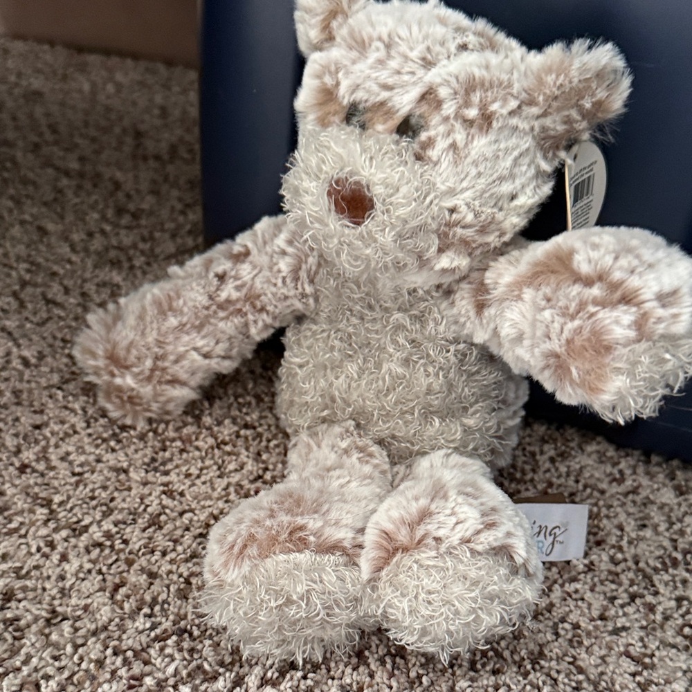 Giving Bear Fluffy Cream and Brown Stuffed Bear